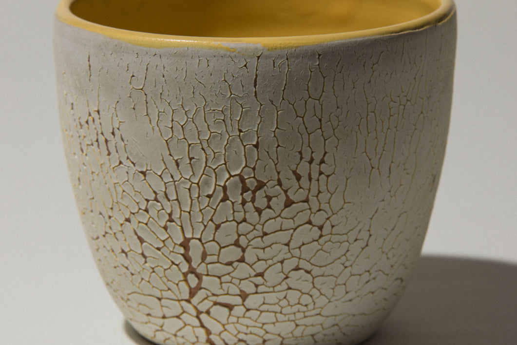 Ceramic POT with white textured crackle glaze