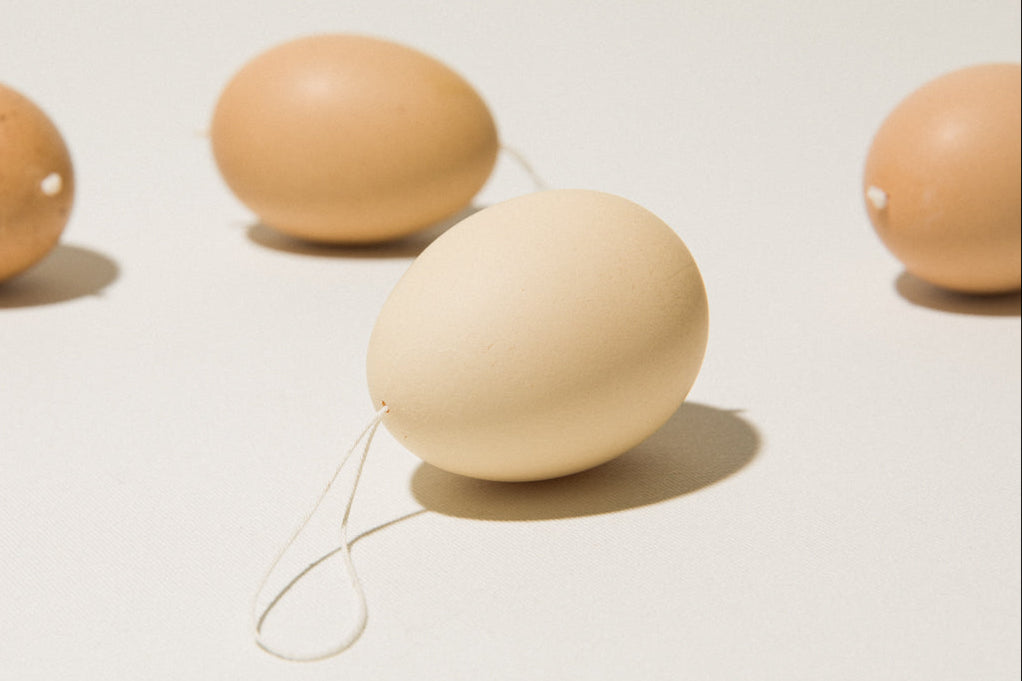 Set of six CHICKEN EGGS