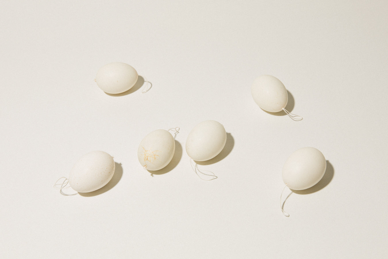 Set of six DUCK EGGS