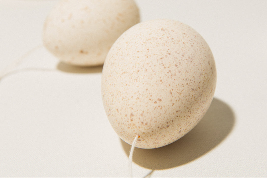 Set of six TURKEY EGGS