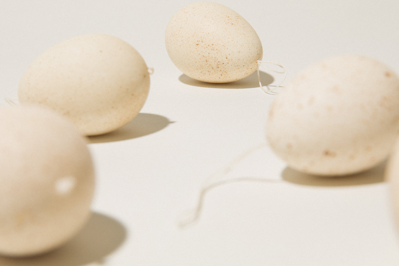 Set of six TURKEY EGGS