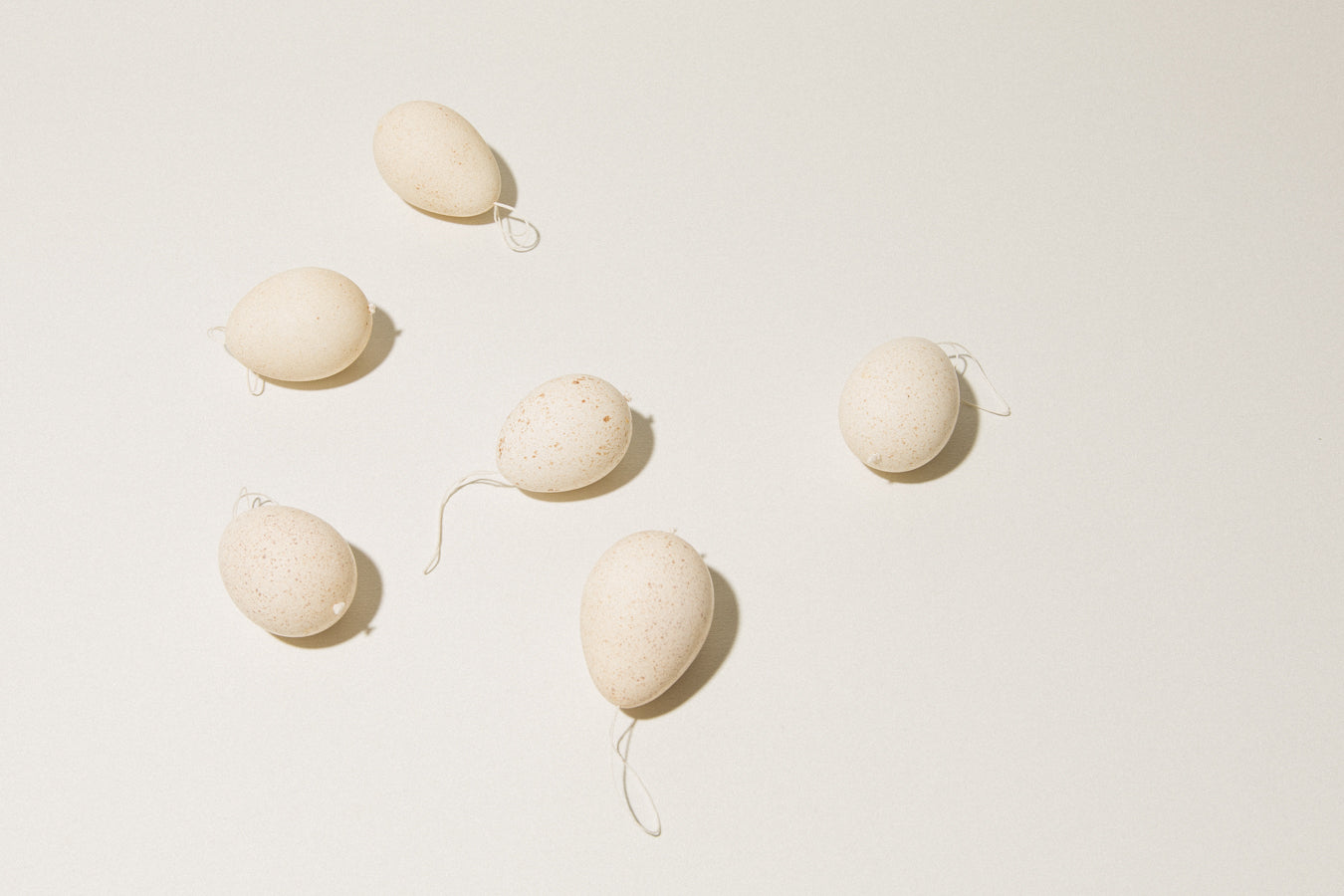 Set of six TURKEY EGGS