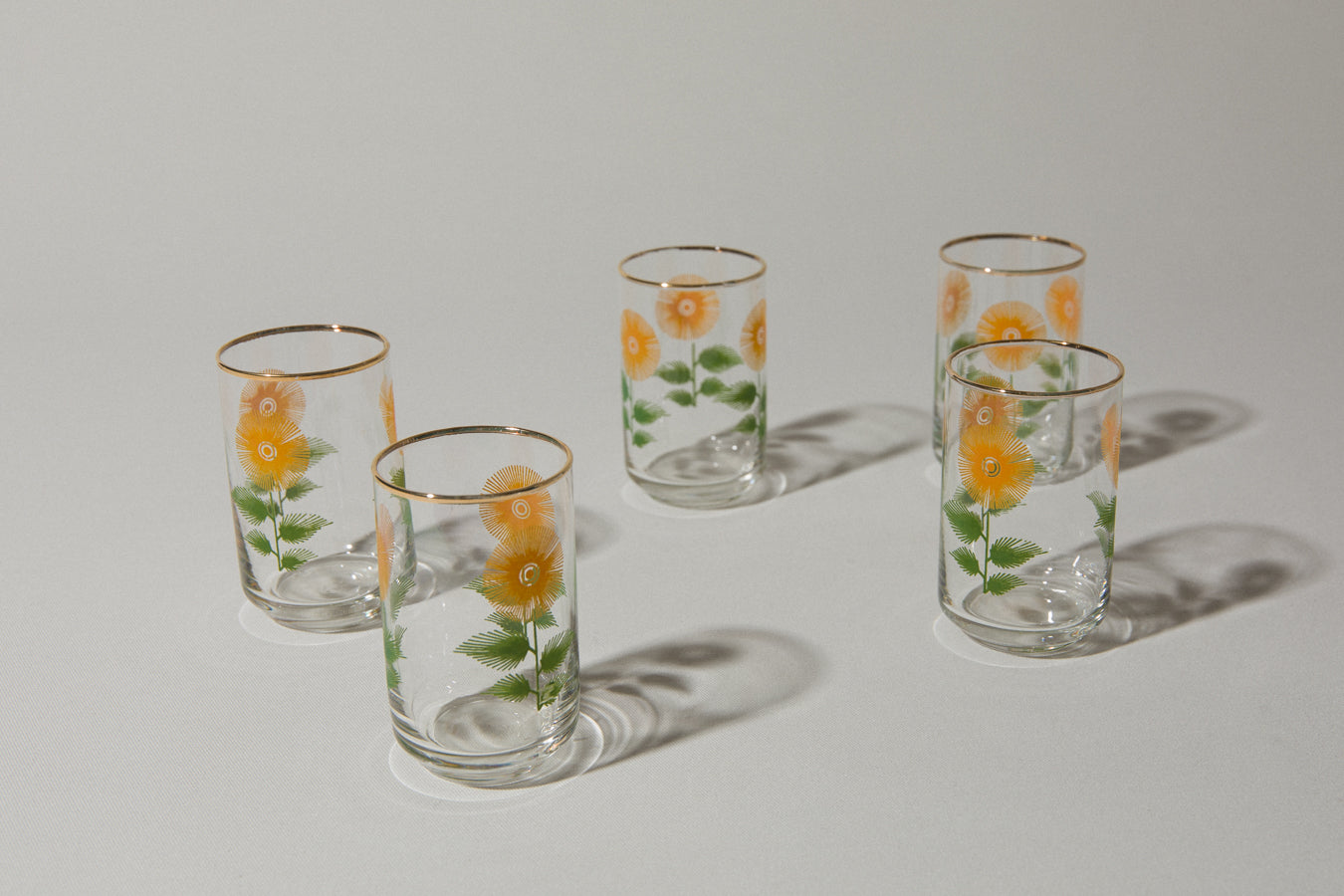 Set of five SHOOTER GLASSES