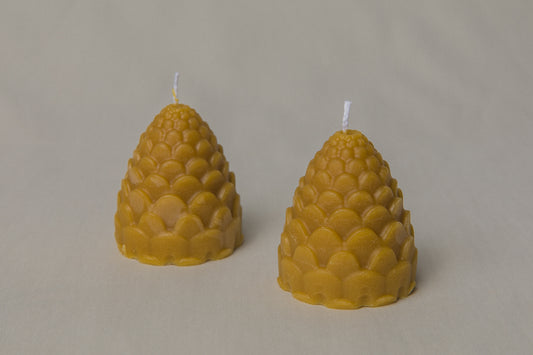 Pinecone beeswax CANDLE set of two