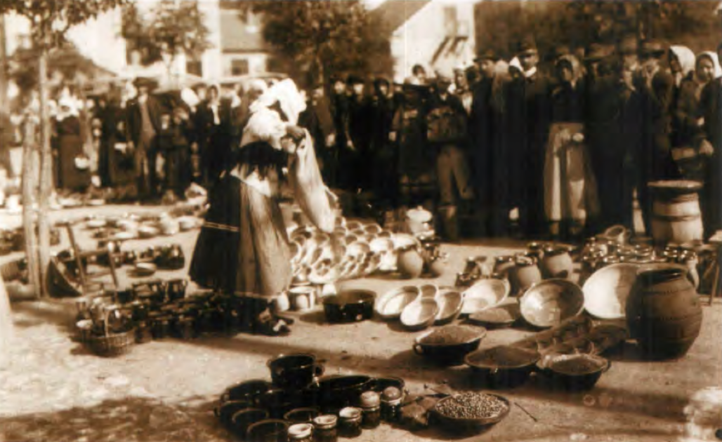 Striped Csákvár JAR _ 1454