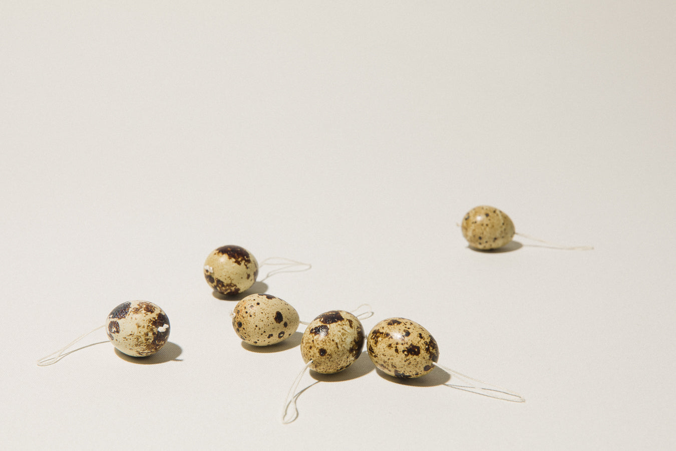 Set of six QUAIL EGGS