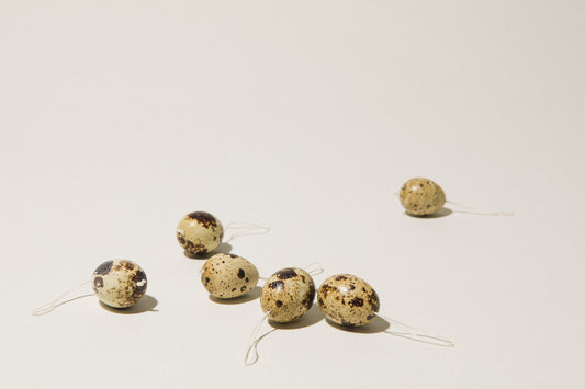 Set of six QUAIL EGGS