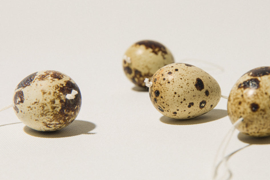Set of six QUAIL EGGS