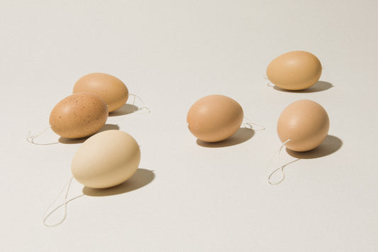 Set of six CHICKEN EGGS