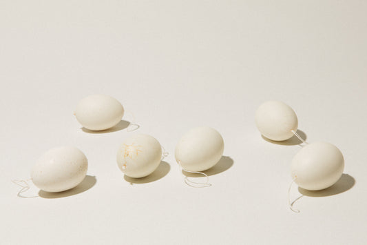 Set of six DUCK EGGS