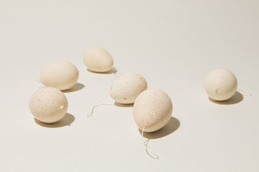 Set of six TURKEY EGGS