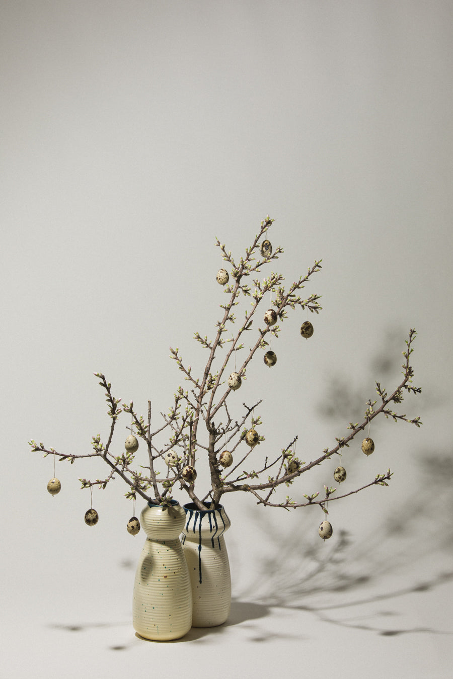 Set of six QUAIL EGGS
