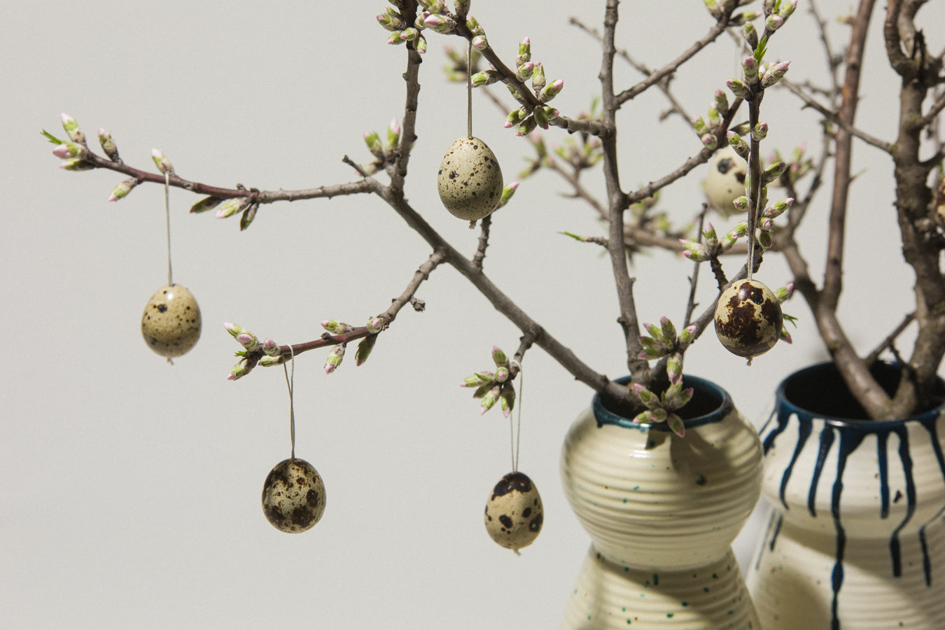 Set of six QUAIL EGGS
