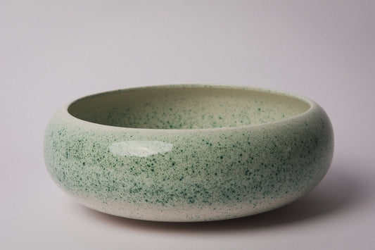 Ceramic BOWL _ 1352