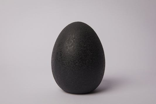 Ceramic EGG large _ 1370