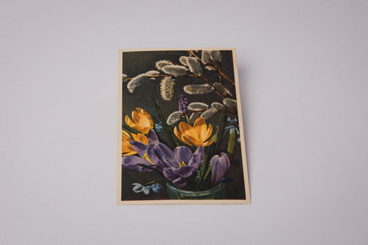 Vintage Easter Postcard with Crocus Illustration _ 1516