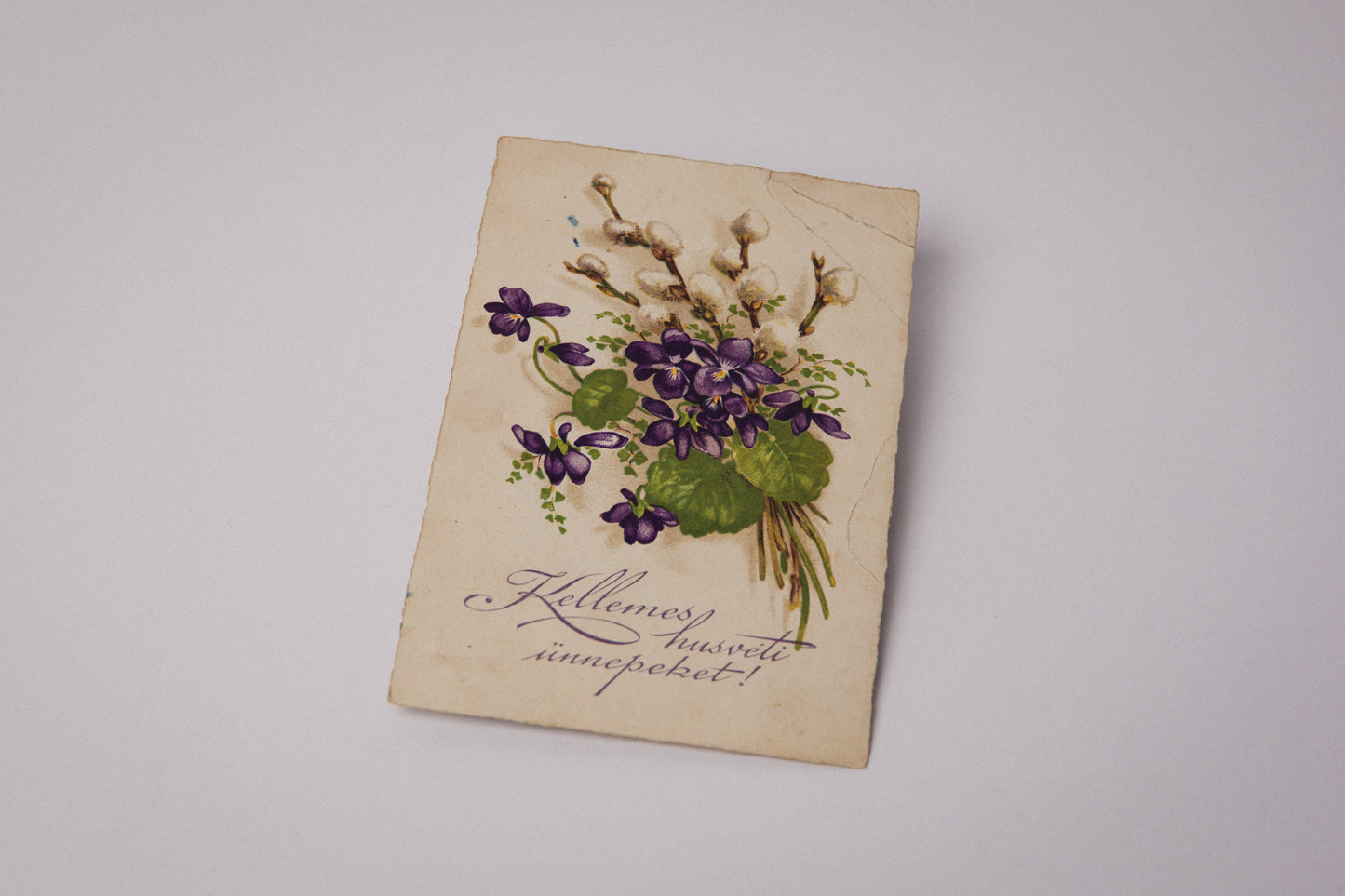 Vintage Easter Postcard with Violet Illustration _ 1522