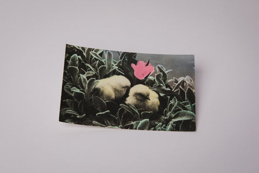 Vintage Easter Postcard with Easter Chicks _ 1530