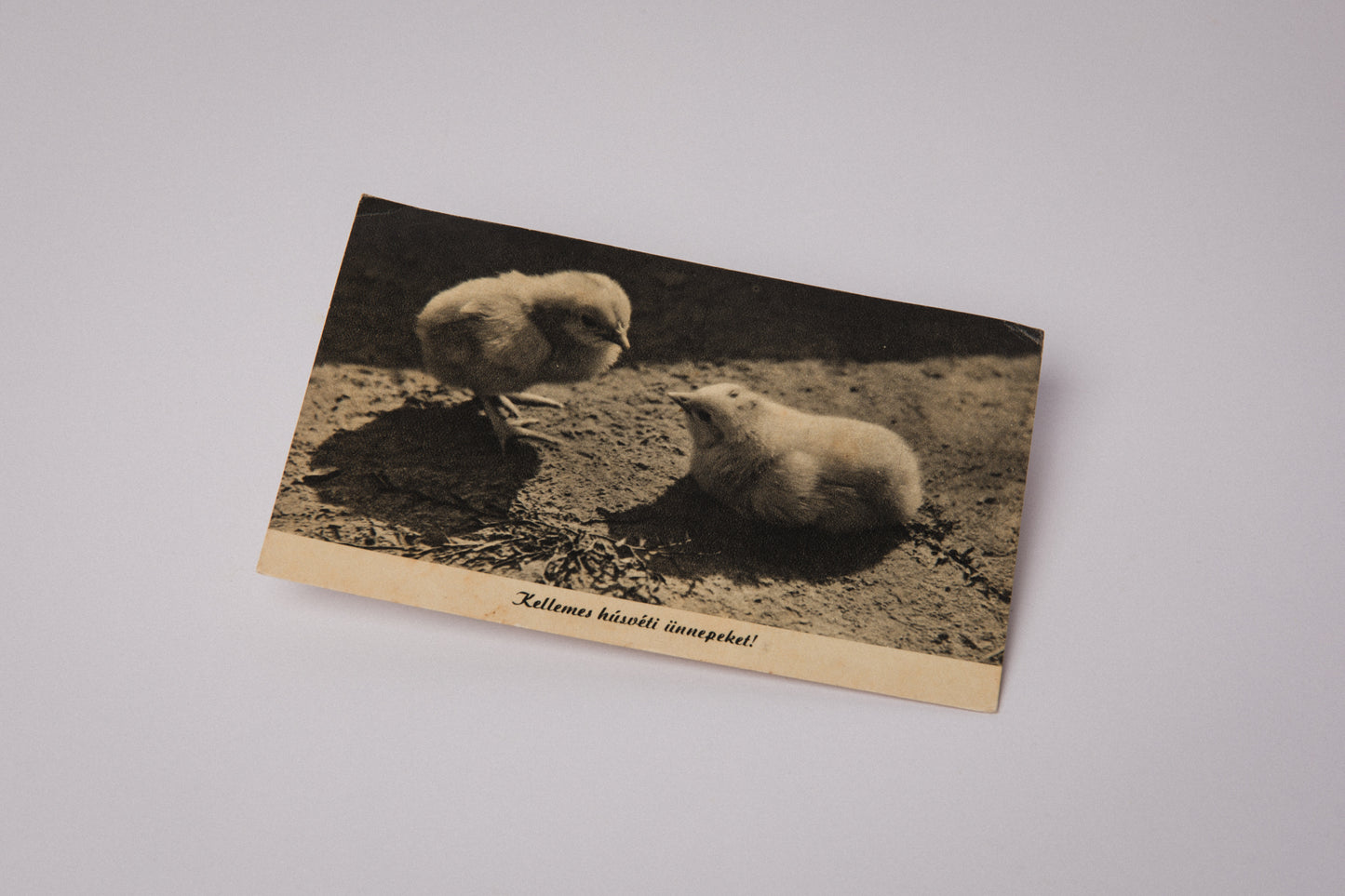 Vintage Easter Postcard with Easter Chicks _ 1531