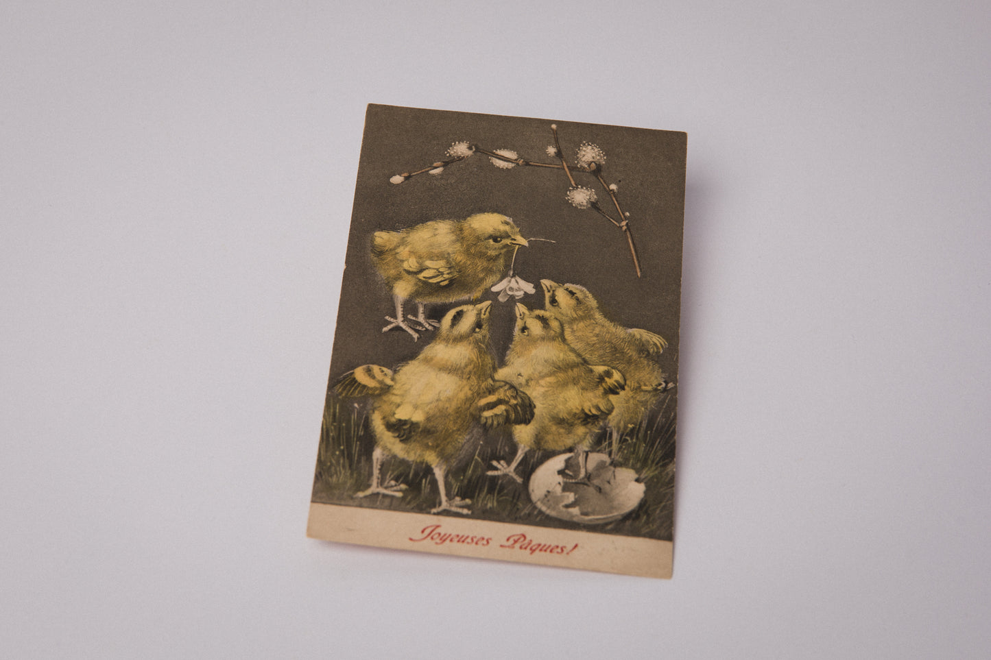 Vintage Easter Postcard with Easter Chicks _ 1538