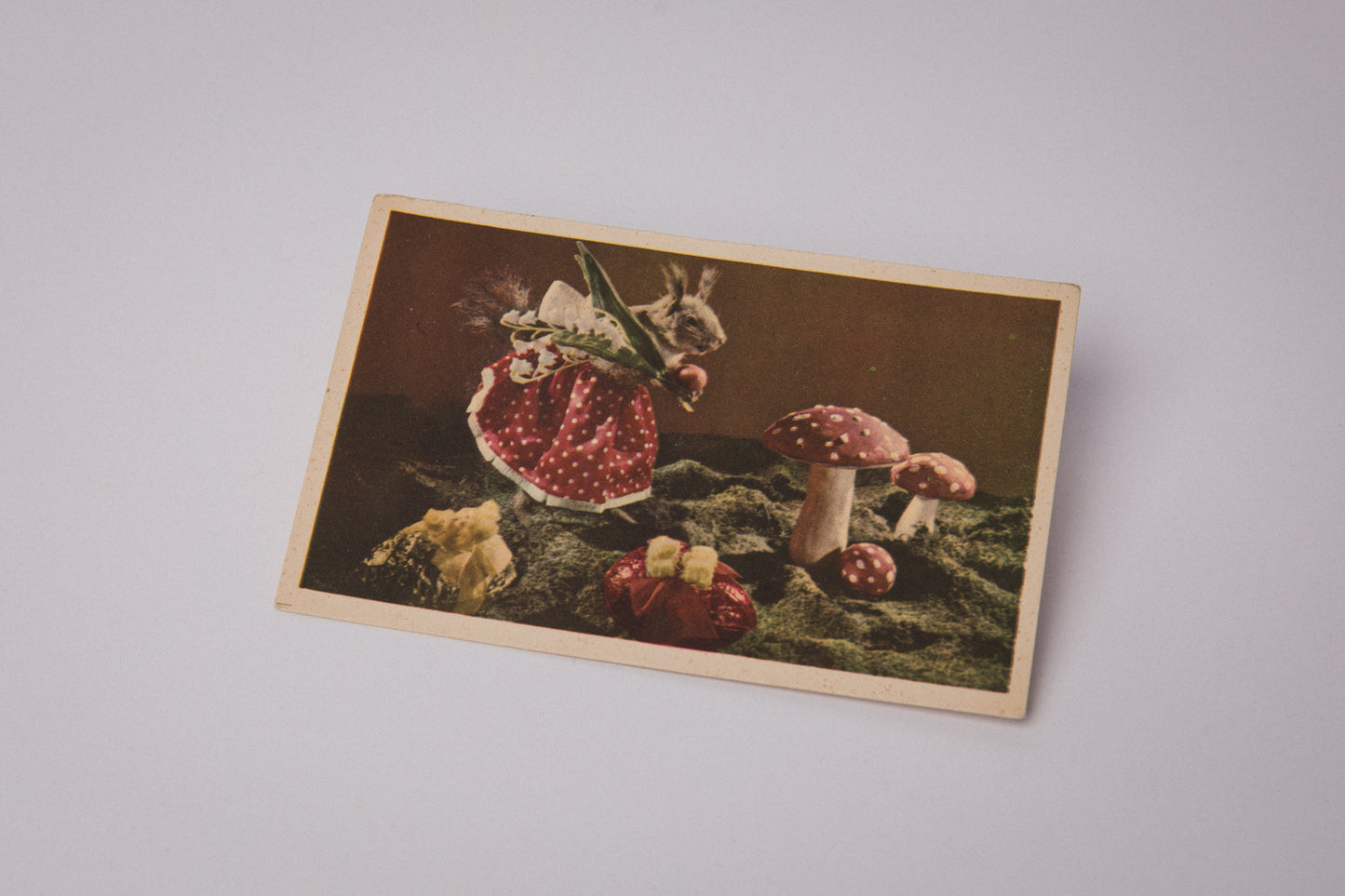 Vintage Easter Postcard with Easter Squirrel and Mushrooms _ 1546