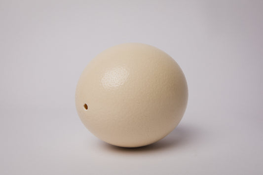 Natural OSTRICH EGG