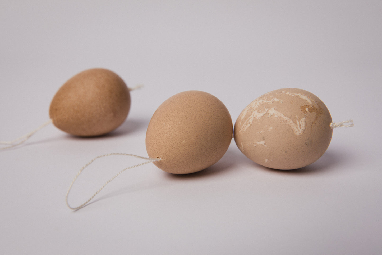 Set of three GUINEA FOWL EGGS
