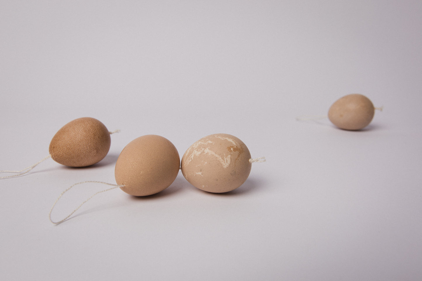 Set of three GUINEA FOWL EGGS