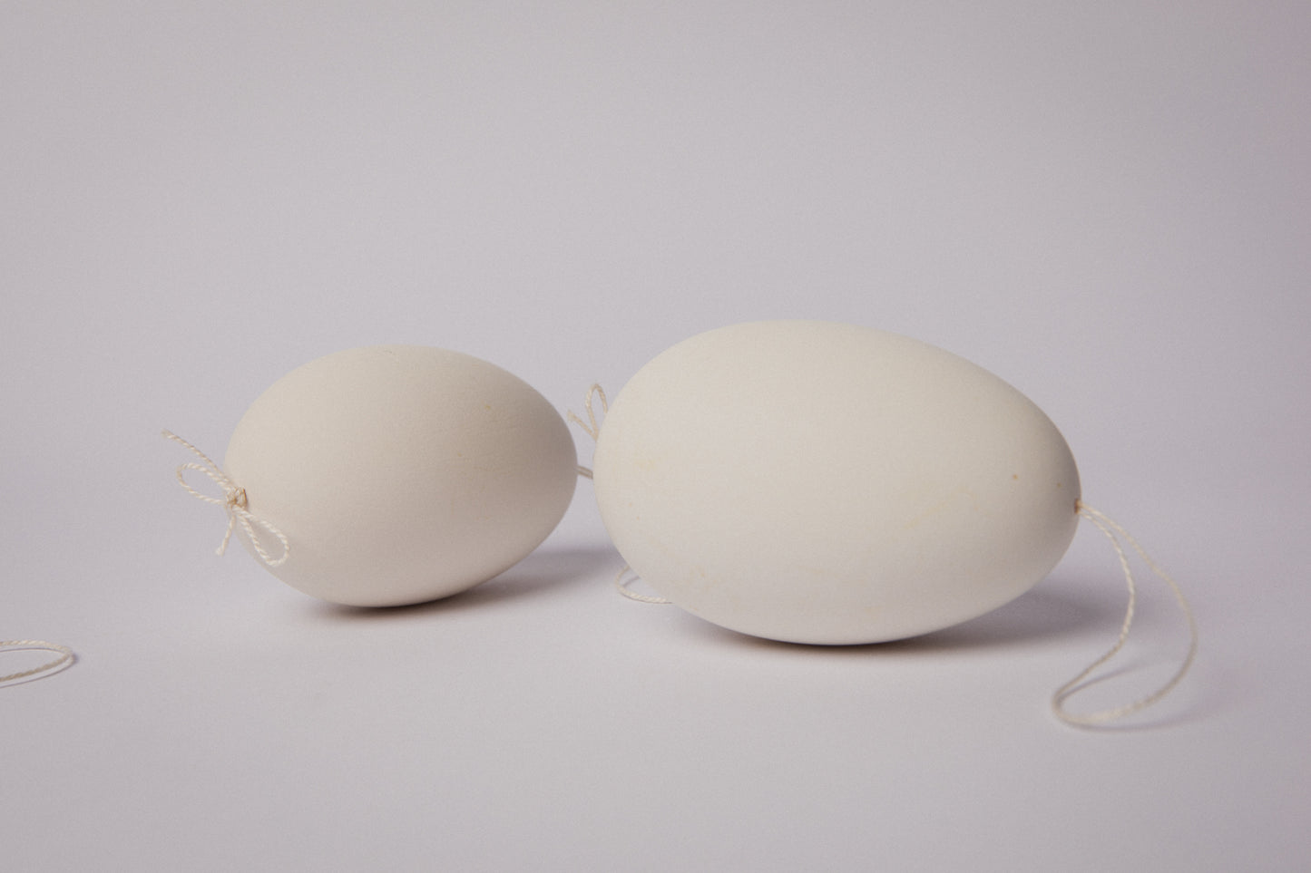Set of three GOOSE EGGS