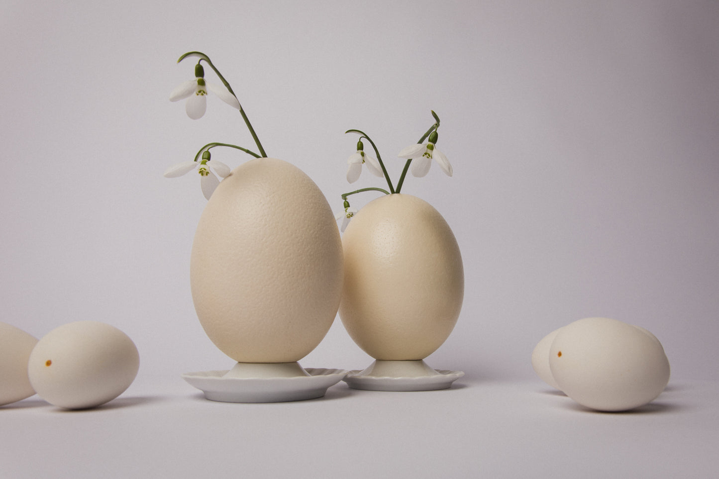 Set of three GOOSE EGGS