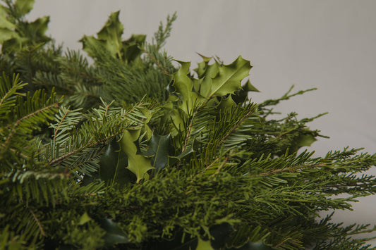 Holly WREATH medium