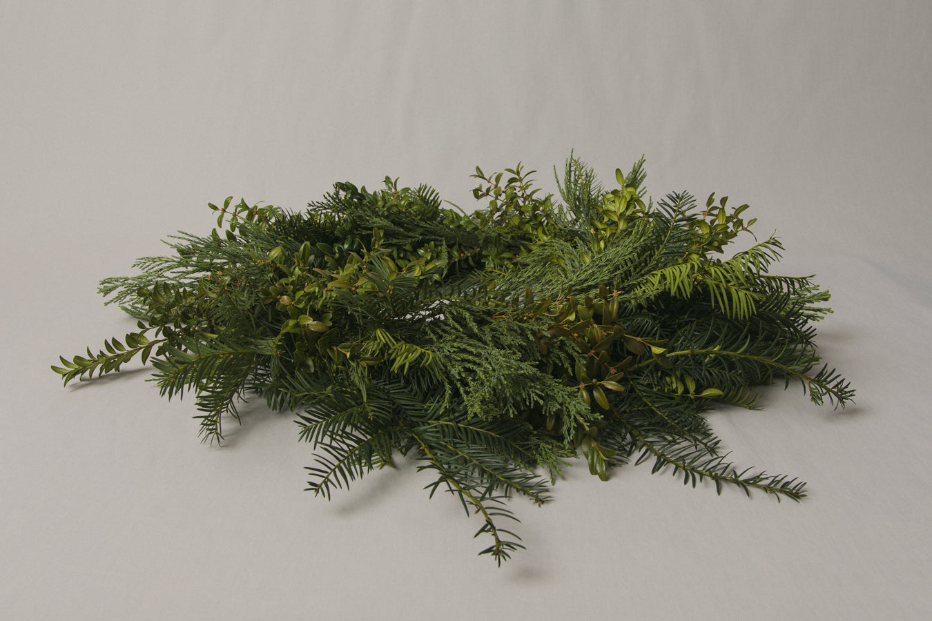Boxwood WREATH medium
