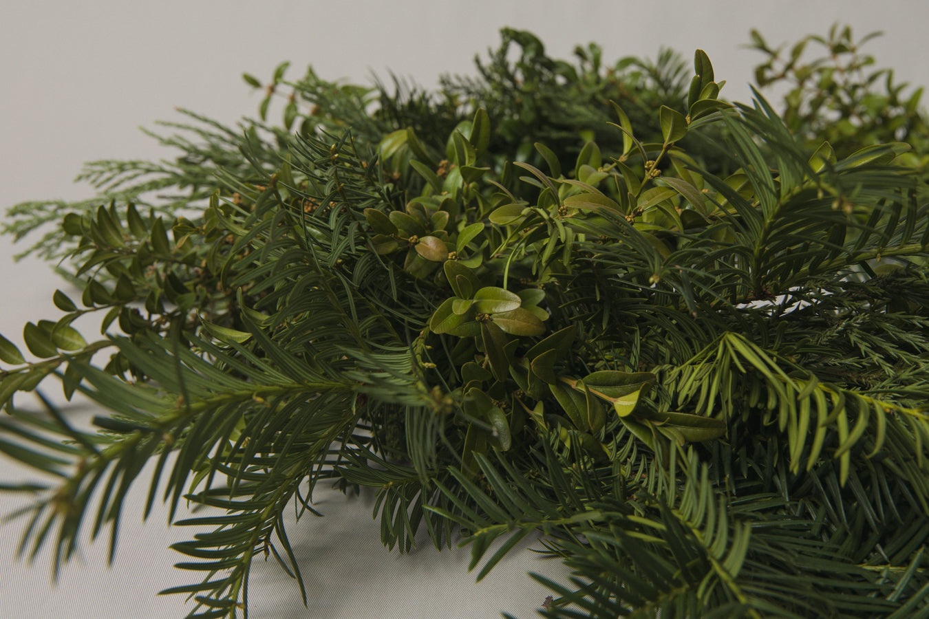 Boxwood WREATH medium