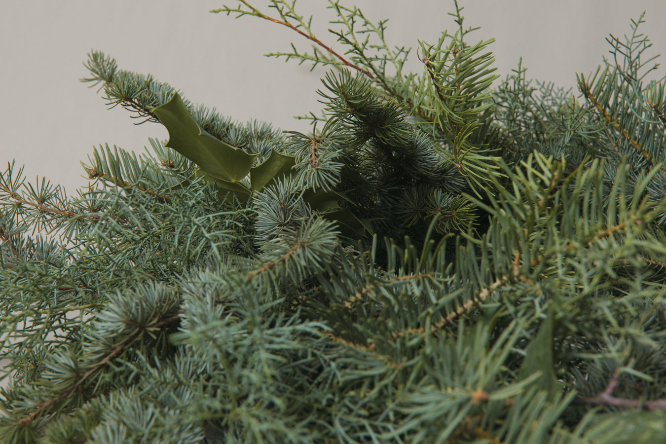 Mahonia WREATH small