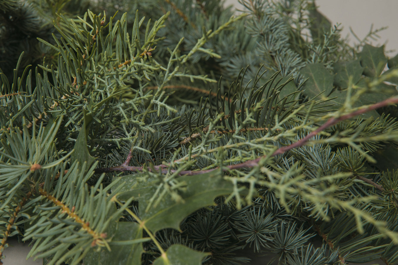 Mahonia WREATH small