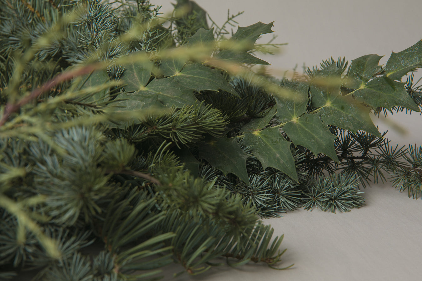 Mahonia WREATH small