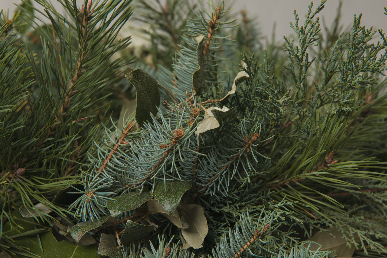 Silverleaf WREATH small