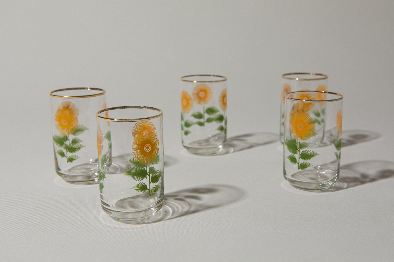 Set of five SHOOTER GLASSES