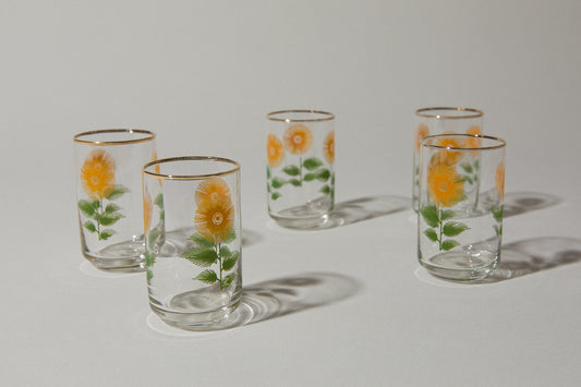 Set of five SHOOTER GLASSES